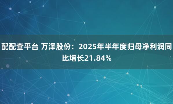 配配查平台 万泽股份：2025年半年度归母净利润同比增长21.84%