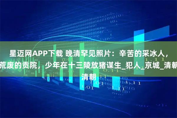 星迈网APP下载 晚清罕见照片：辛苦的采冰人，荒废的贡院，少年在十三陵放猪谋生_犯人_京城_清朝