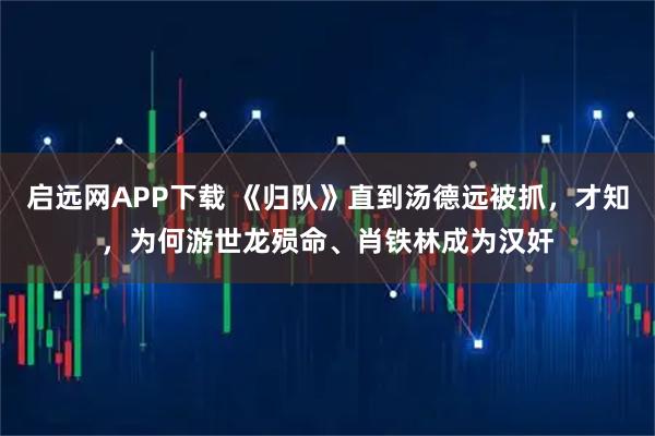 启远网APP下载 《归队》直到汤德远被抓，才知，为何游世龙殒命、肖铁林成为汉奸