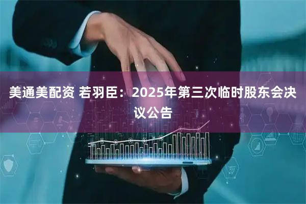美通美配资 若羽臣：2025年第三次临时股东会决议公告